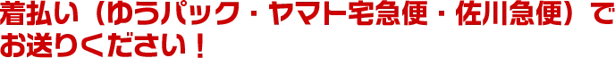 着払い(ゆうパック・ヤマト宅急便・佐川急便)で
お送りください!
